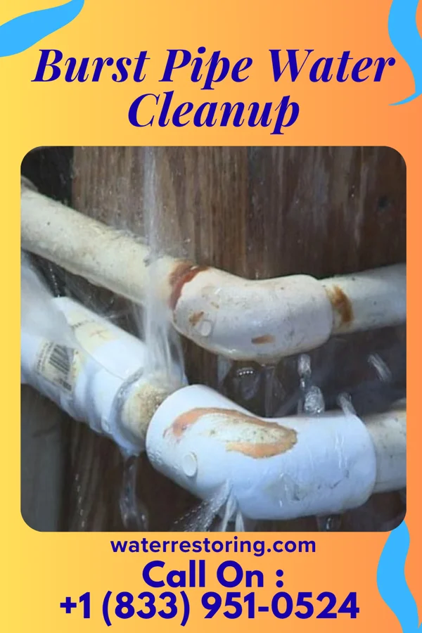 Burst Pipe Water Cleanup in Edgar, WI