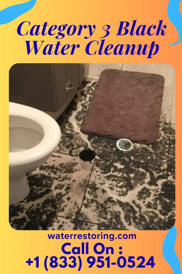 Category 3 Black Water Cleanup in Edgar, WI