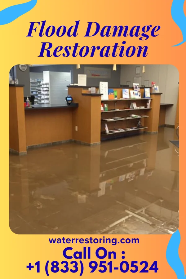 Flood Damage Restoration in Edgar, WI