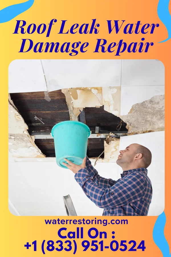 Roof Leak Water Damage Repair in Edgar, WI