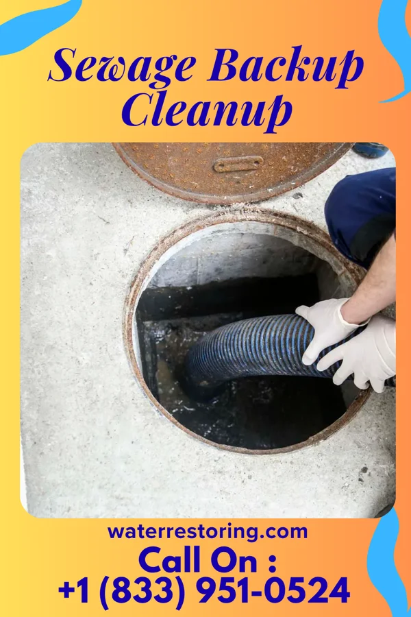 Sewage Backup Cleanup in Edgar, WI